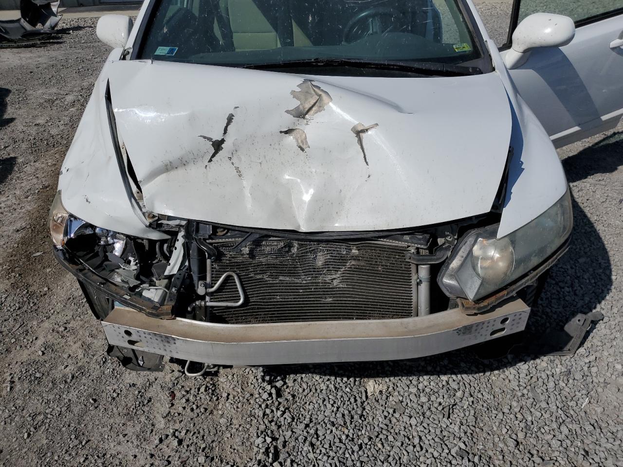 2010 Honda Civic Lx VIN: 19XFA1F52AE056563 Lot: 48231534