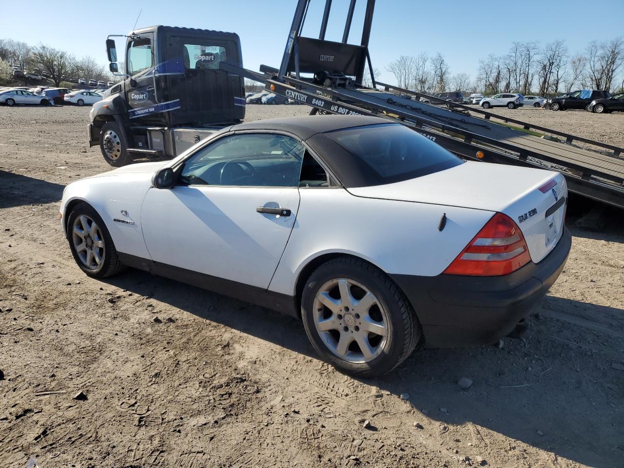 1999 Mercedes-Benz Slk 230 Kompressor VIN: WDBKK47F6XF081077 Lot: 47734654