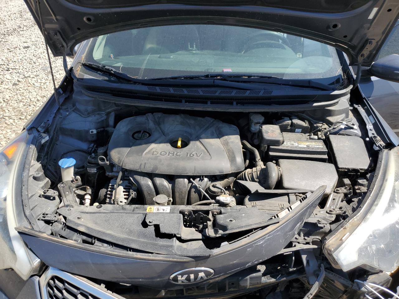 2016 Kia Forte Lx VIN: KNAFX4A68G5445726 Lot: 48865324