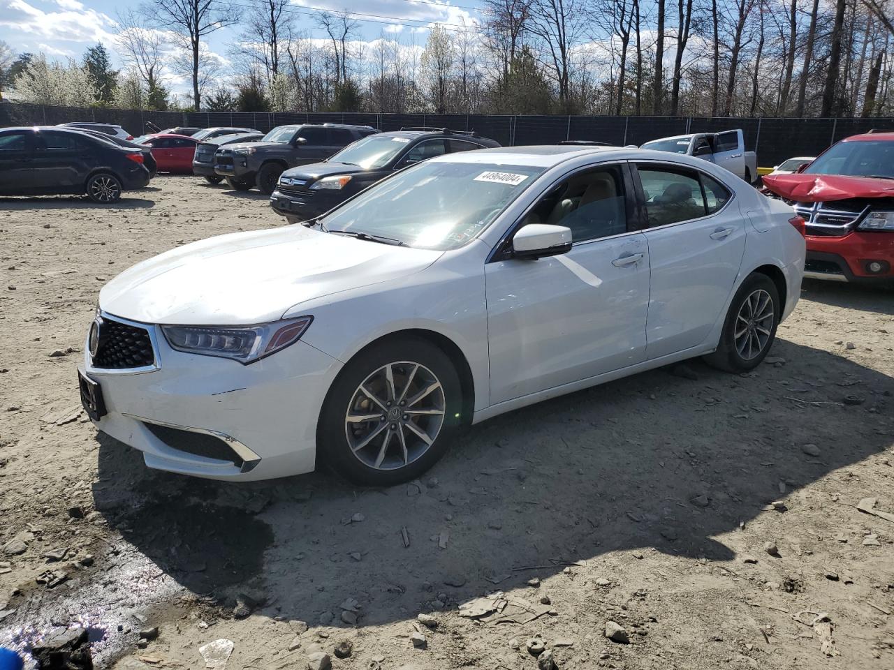 2019 Acura Tlx Technology VIN: 19UUB1F53KA008564 Lot: 44964004