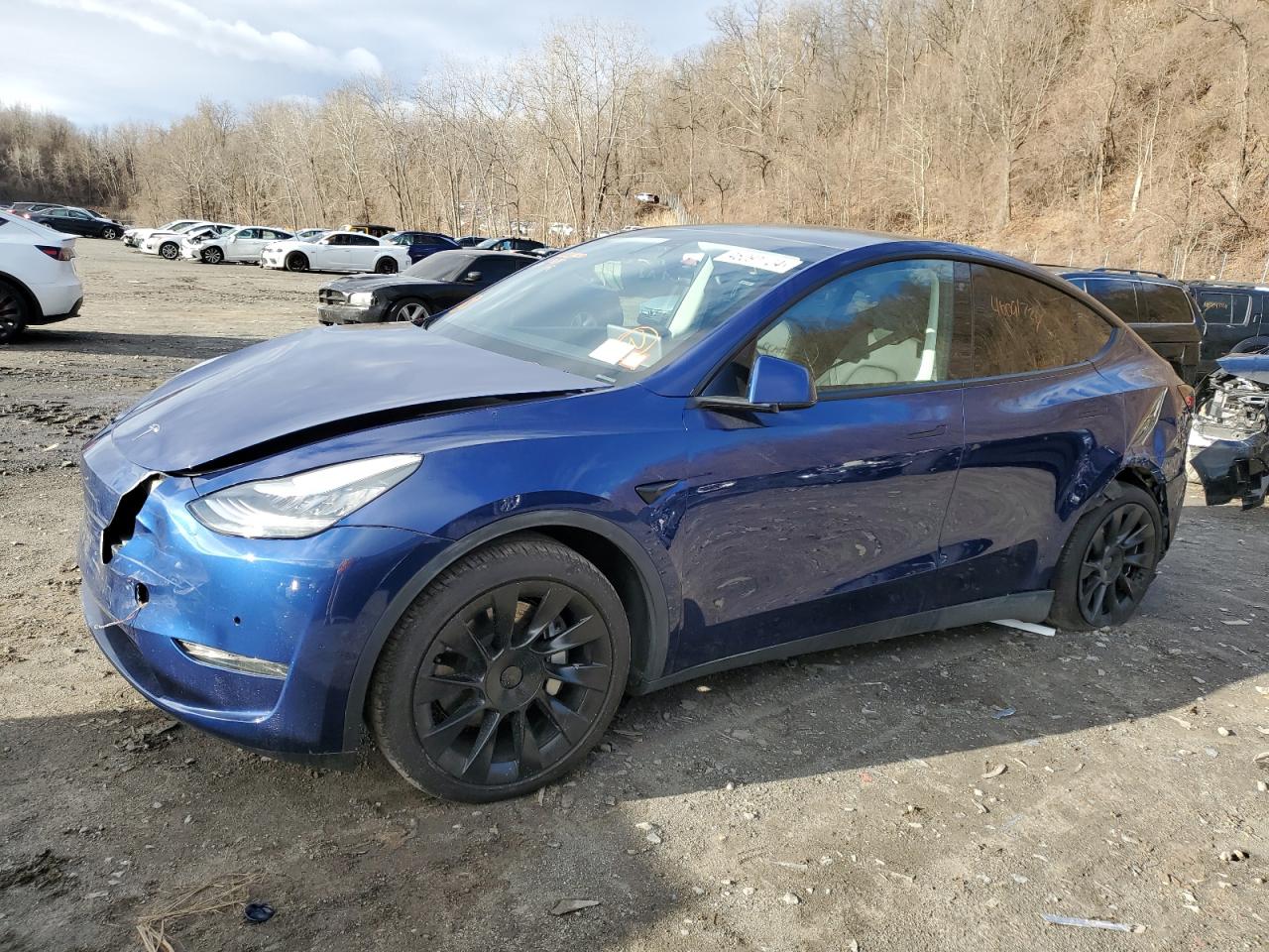2020 Tesla Model Y на продаже в Marlboro, NY - Side