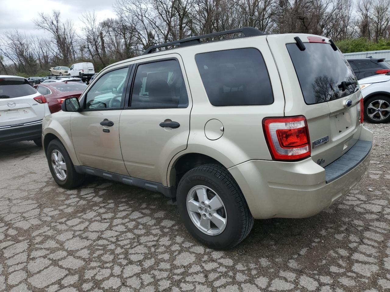 2010 Ford Escape Xlt VIN: 1FMCU0DGXAKD19559 Lot: 48298684