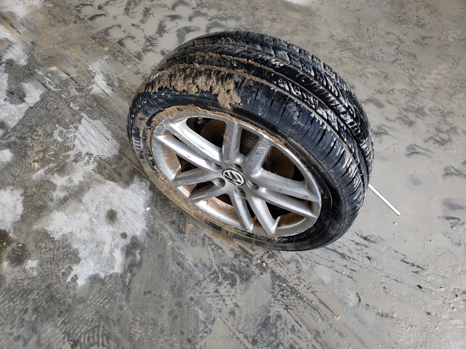 WVWEK73C98P044757 2008 Volkswagen Passat Lux