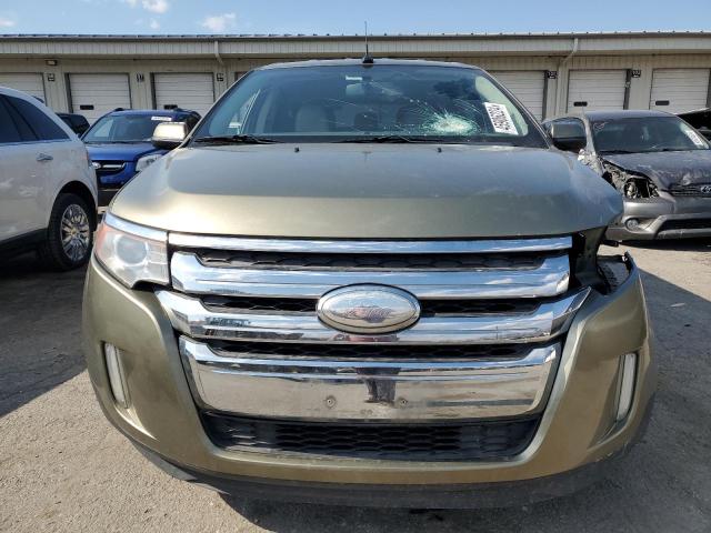 Паркетники FORD EDGE 2013 Зеленый