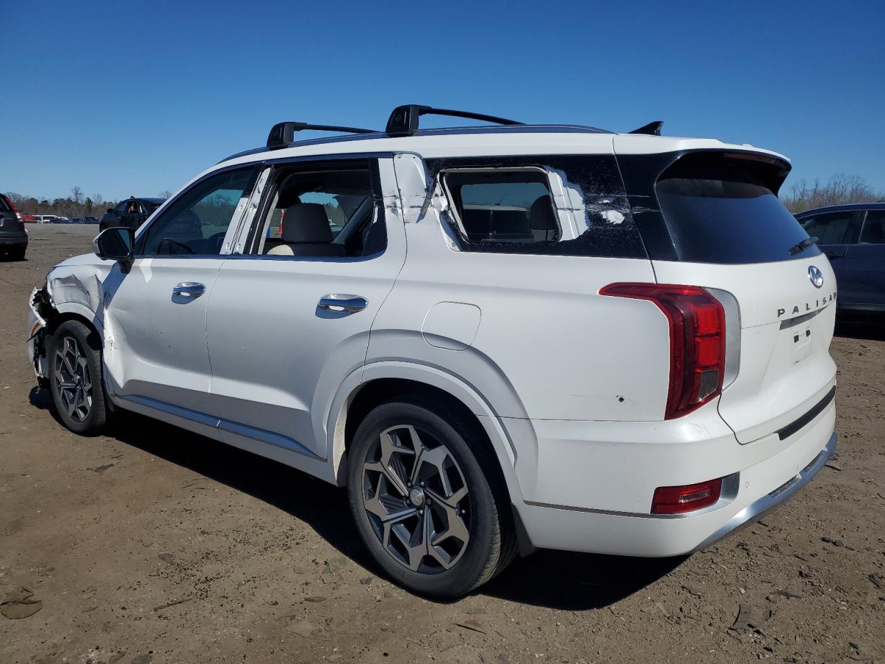 2021 Hyundai Palisade Calligraphy VIN: KM8R7DHE5MU266666 Lot: 46396794