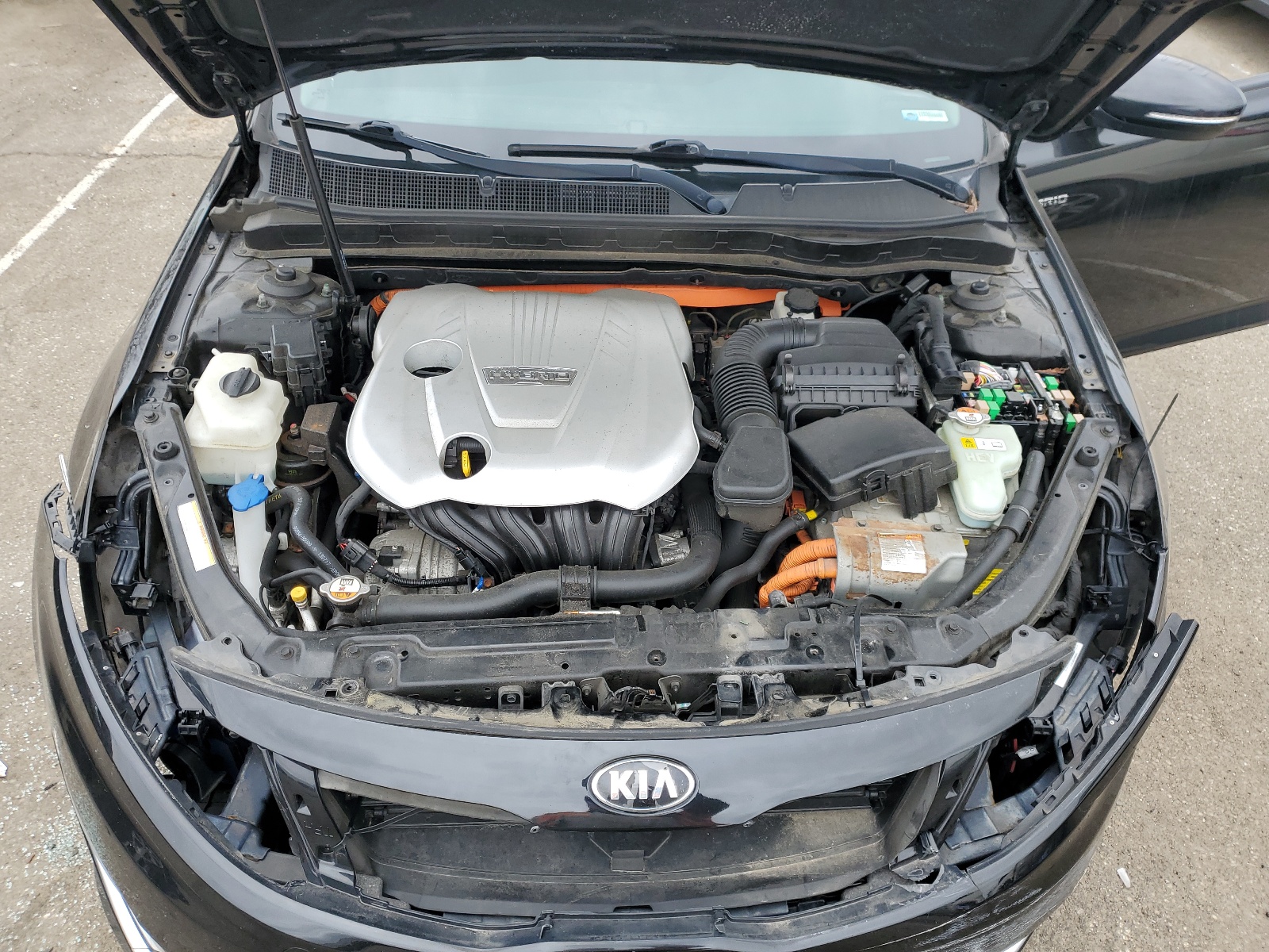 KNAGM4AD5D5055531 2013 Kia Optima Hybrid