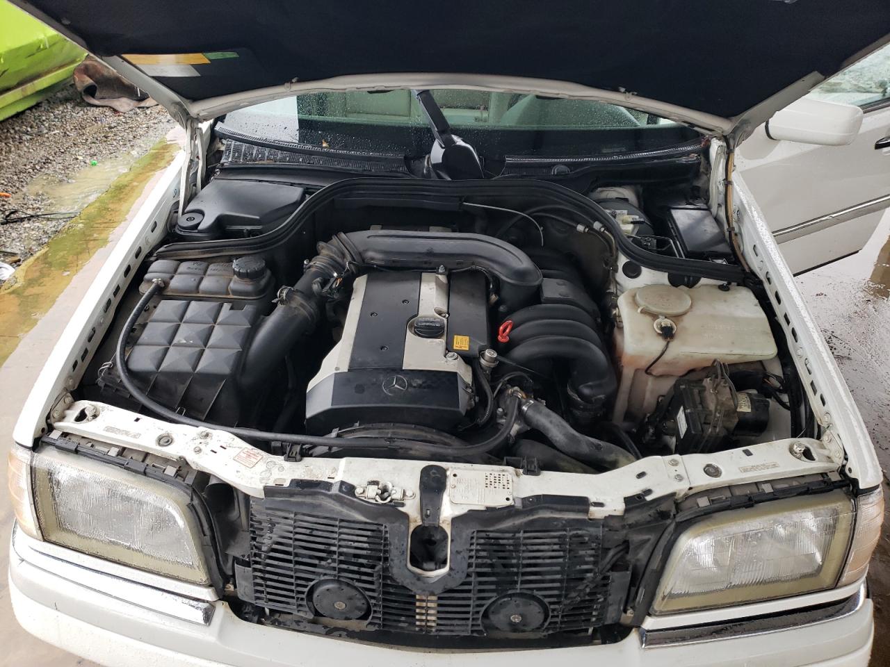 1997 Mercedes-Benz C 280 VIN: WDBHA28E4VF491364 Lot: 44885974