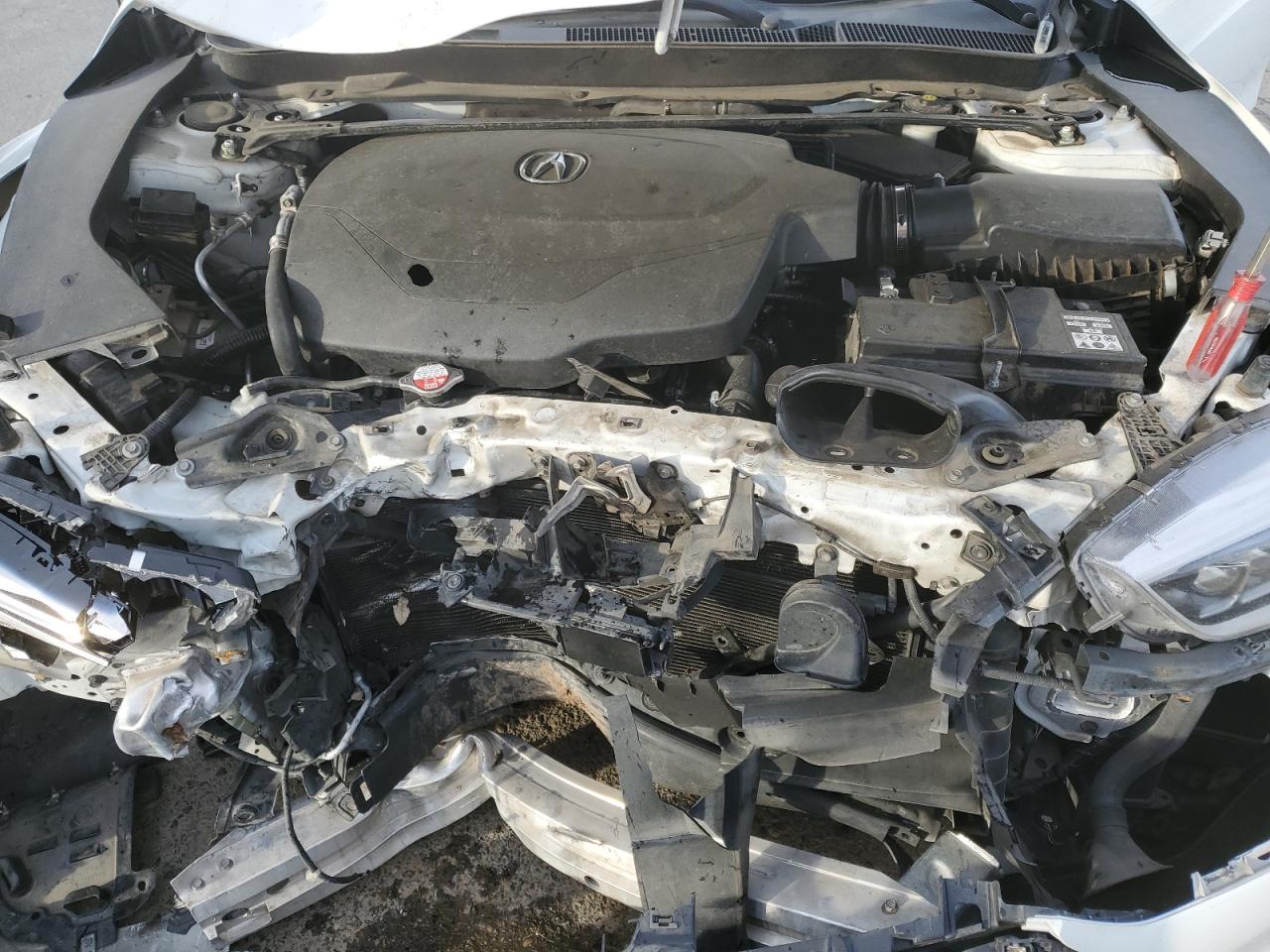 2018 Acura Tlx VIN: 19UUB2F3XJA006491 Lot: 45197534