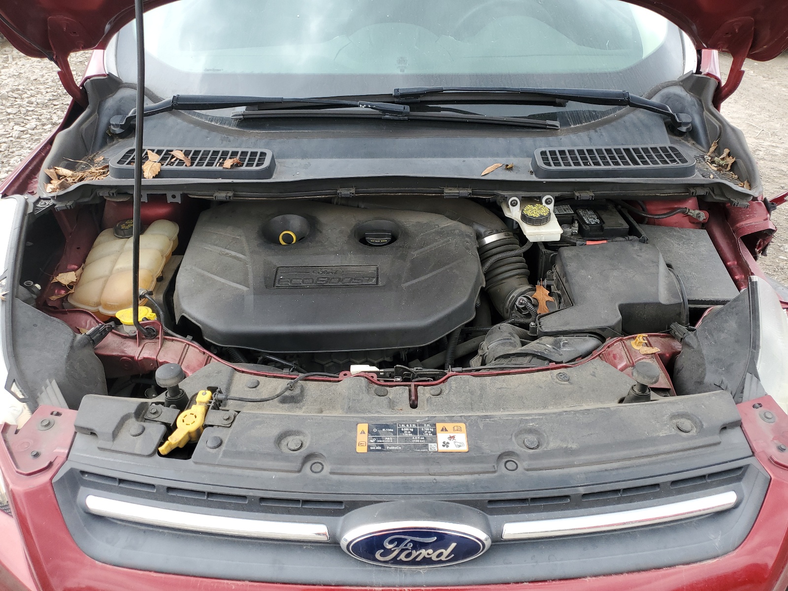 1FMCU9G9XEUA79201 2014 Ford Escape Se