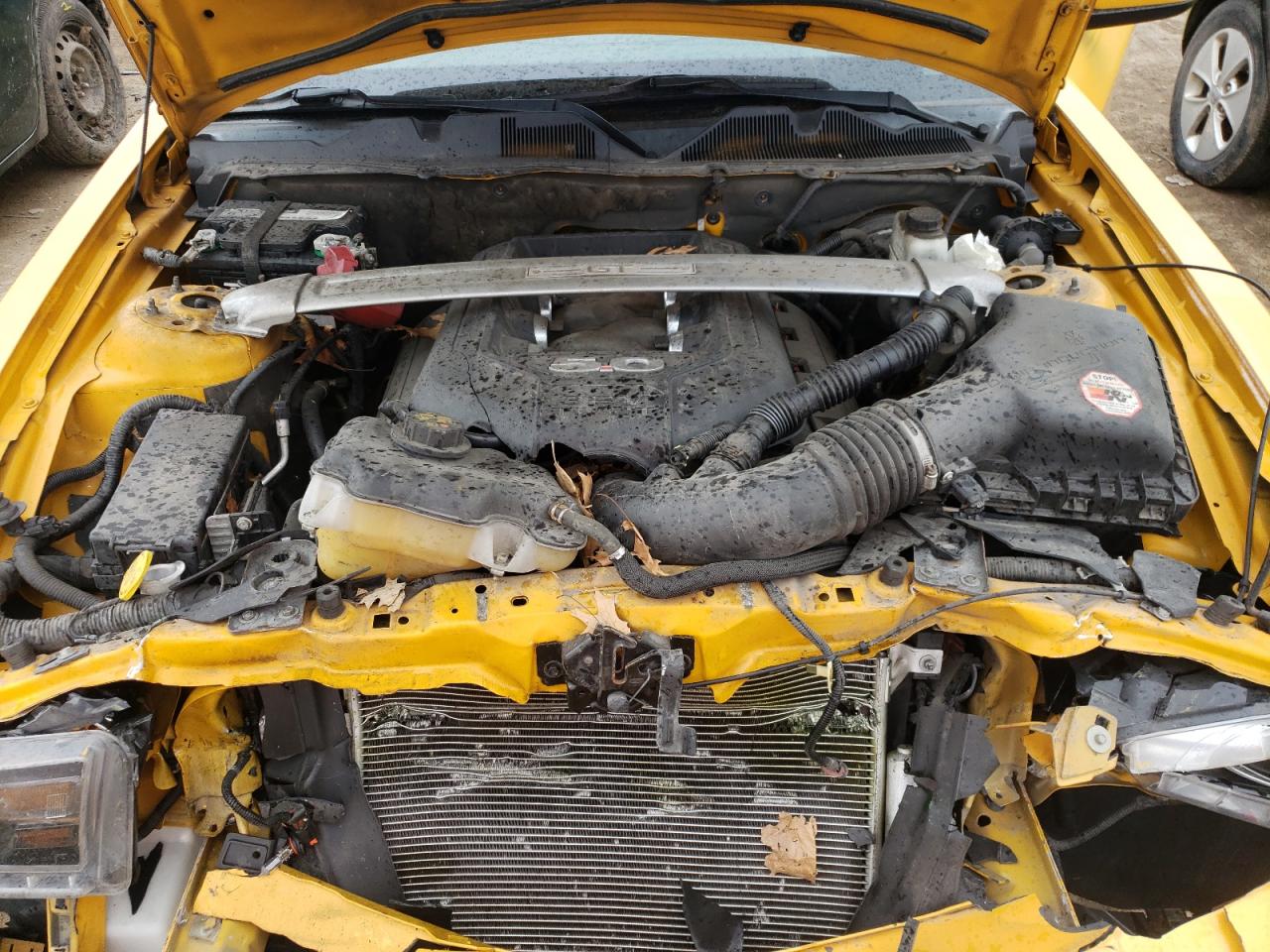 2012 Ford Mustang Gt VIN: 1ZVBP8FF3C5236435 Lot: 48286384