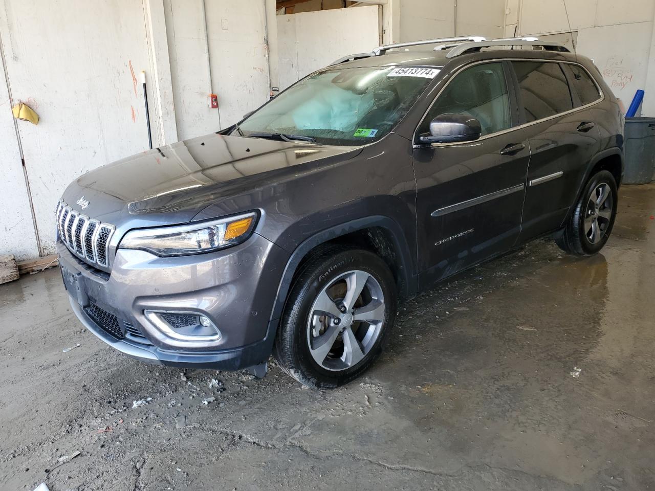 2019 Jeep Cherokee Limited VIN: 1C4PJMDX0KD445862 Lot: 45413774