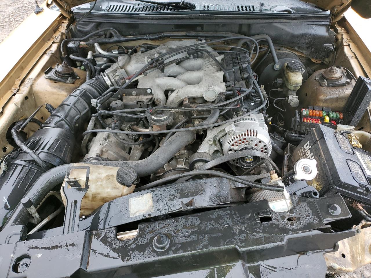 2000 Ford Mustang VIN: 1FAFP4043YF120731 Lot: 46984084