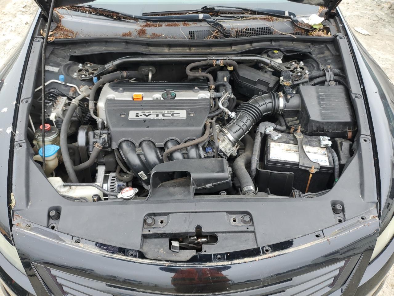 1HGCS12318A019507 2008 Honda Accord Lx-S