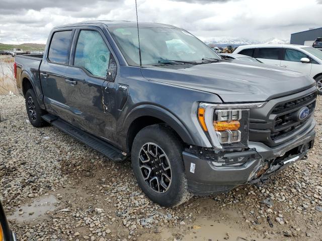  FORD F-150 2023 Серый