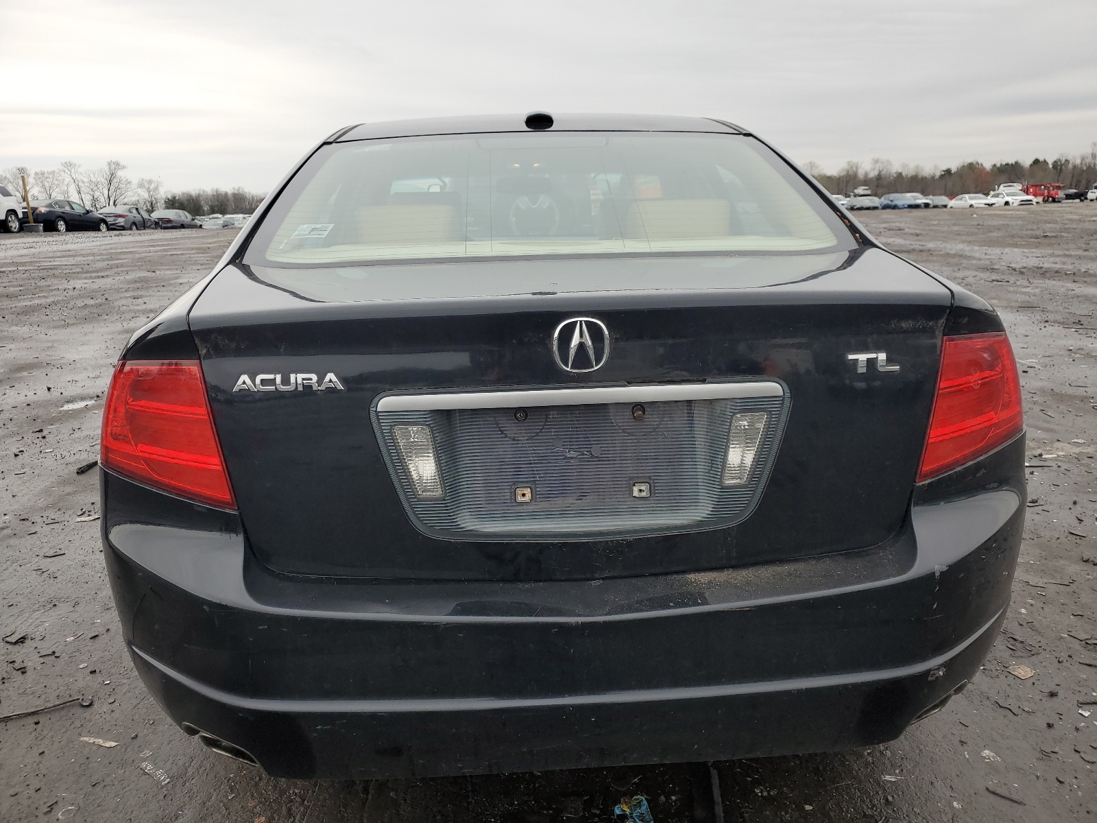 19UUA66204A019482 2004 Acura Tl