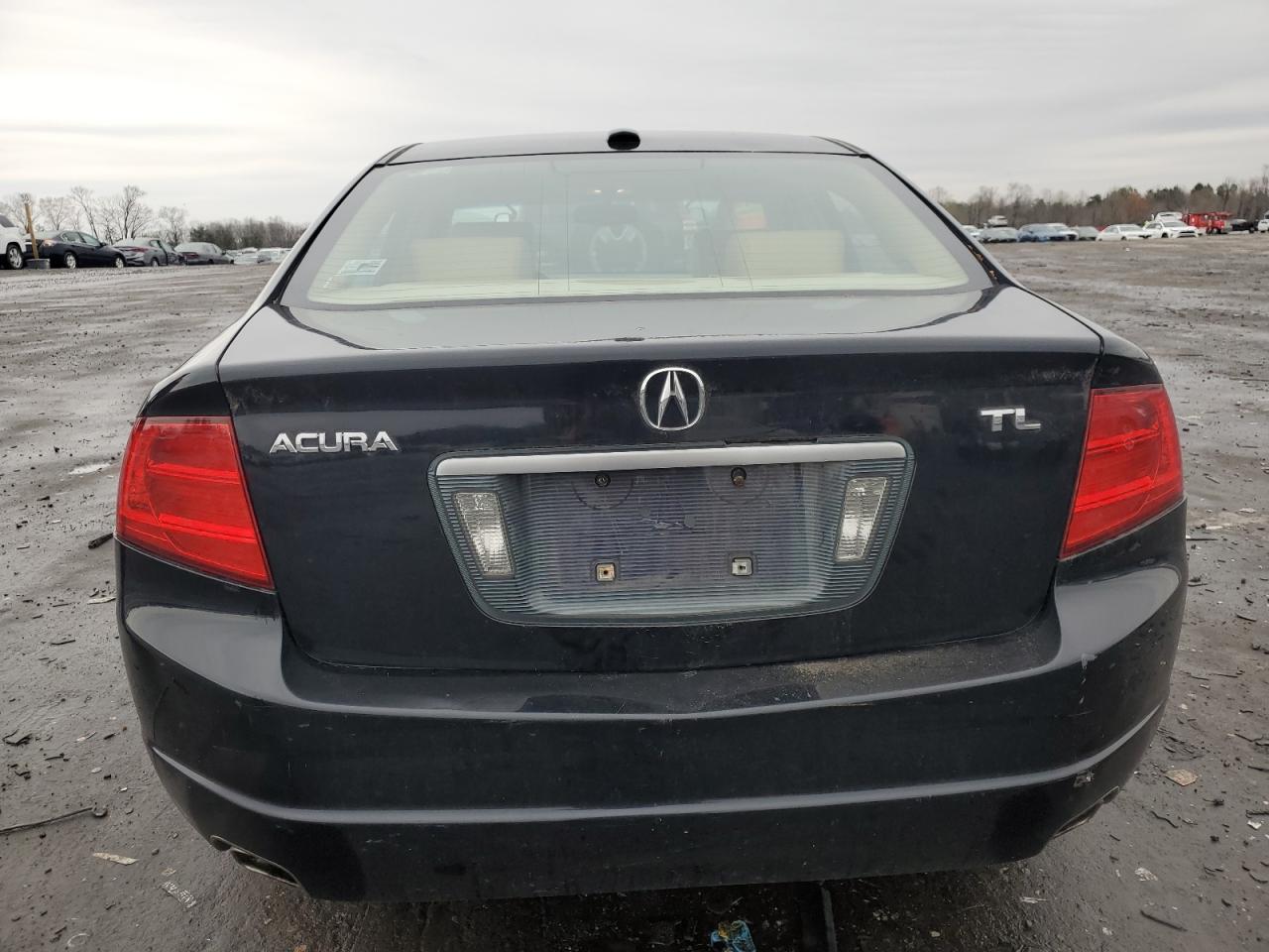 2004 Acura Tl VIN: 19UUA66204A019482 Lot: 48619554