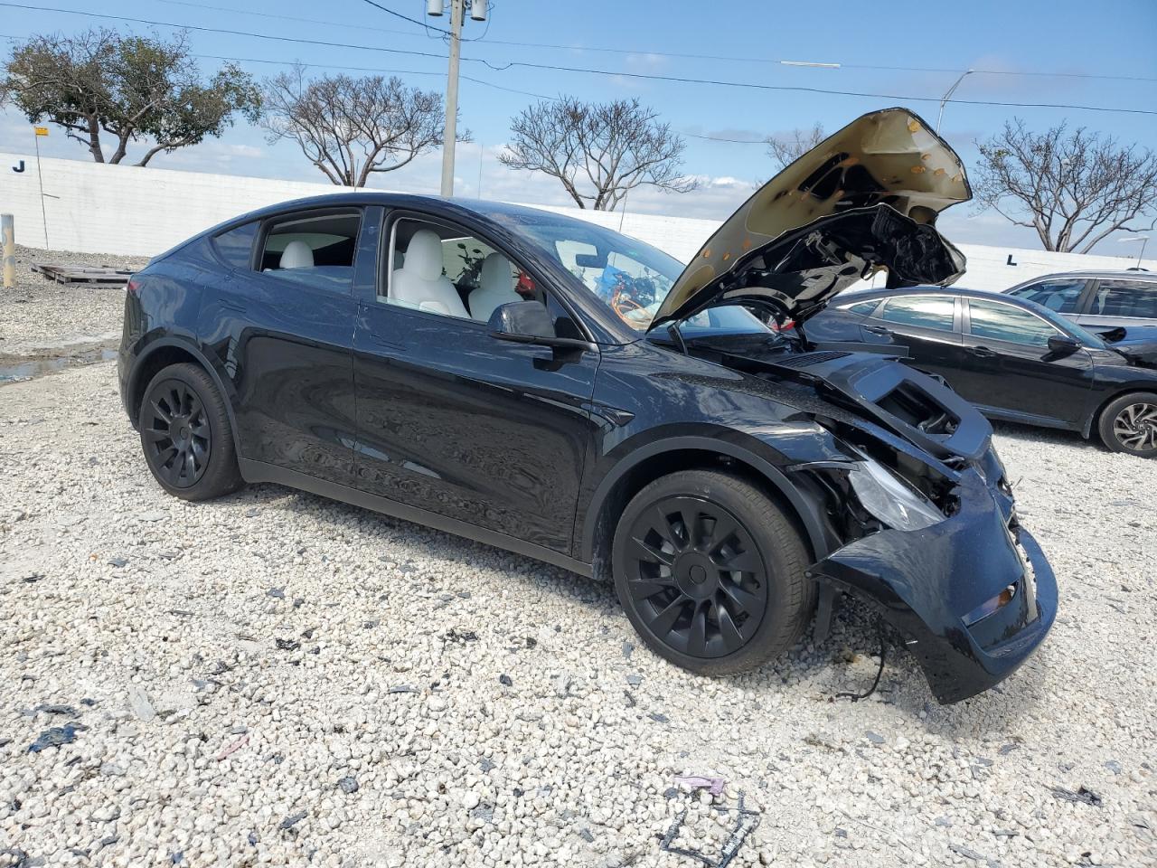 2024 Tesla Model Y VIN: 7SAYGDED5RF009277 Lot: 47420554