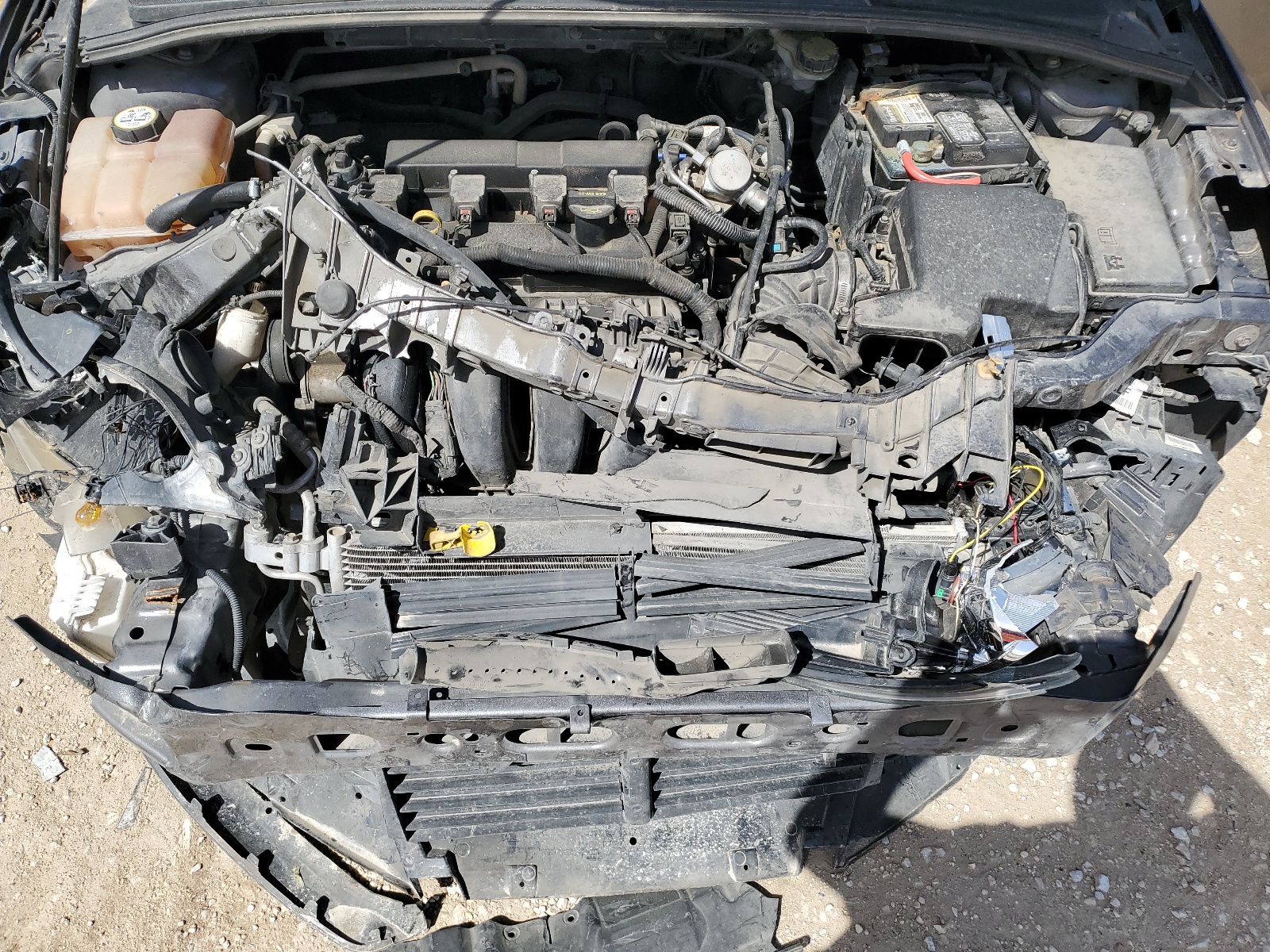 1FADP3F23DL220377 2013 Ford Focus Se