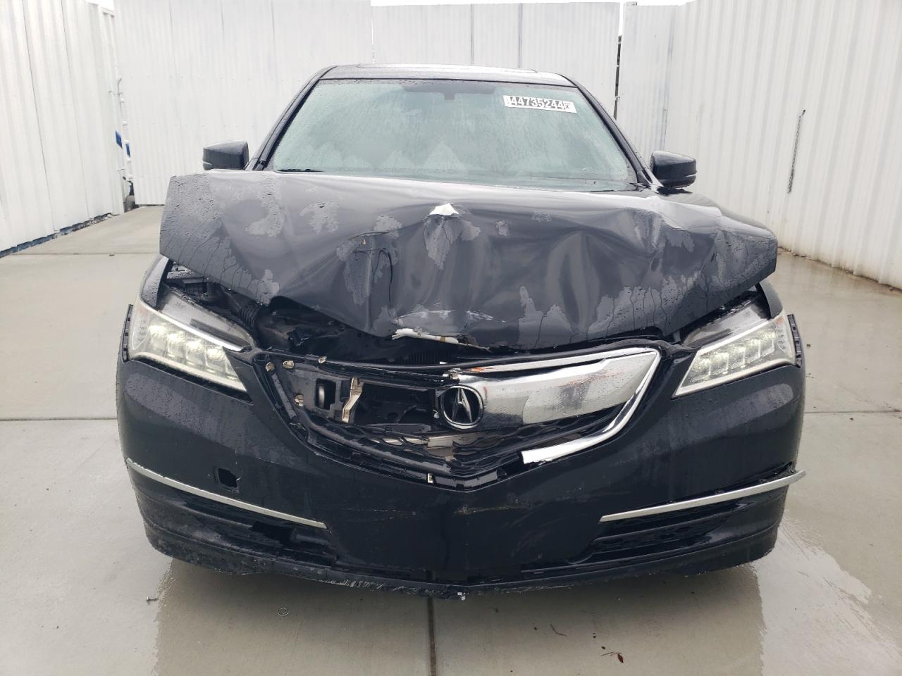 2017 Acura Tlx VIN: 19UUB1F37HA005562 Lot: 44735244