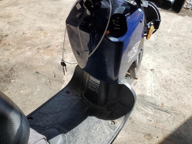  HONDA RUCKUS 2022 Два тони