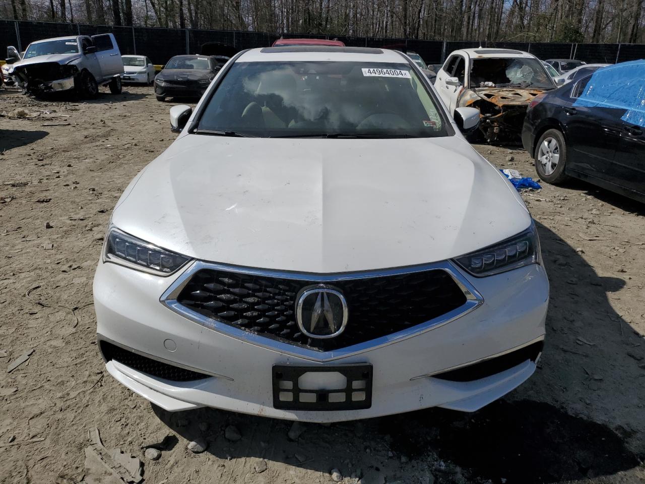 2019 Acura Tlx Technology VIN: 19UUB1F53KA008564 Lot: 44964004