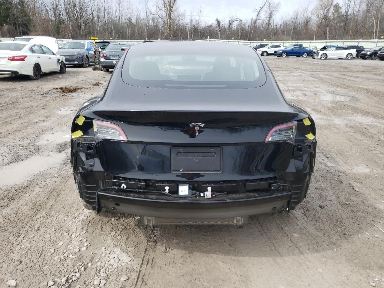 2023 Tesla Model 3 VIN: 5YJ3E1EA0PF650951 Lot: 43787574