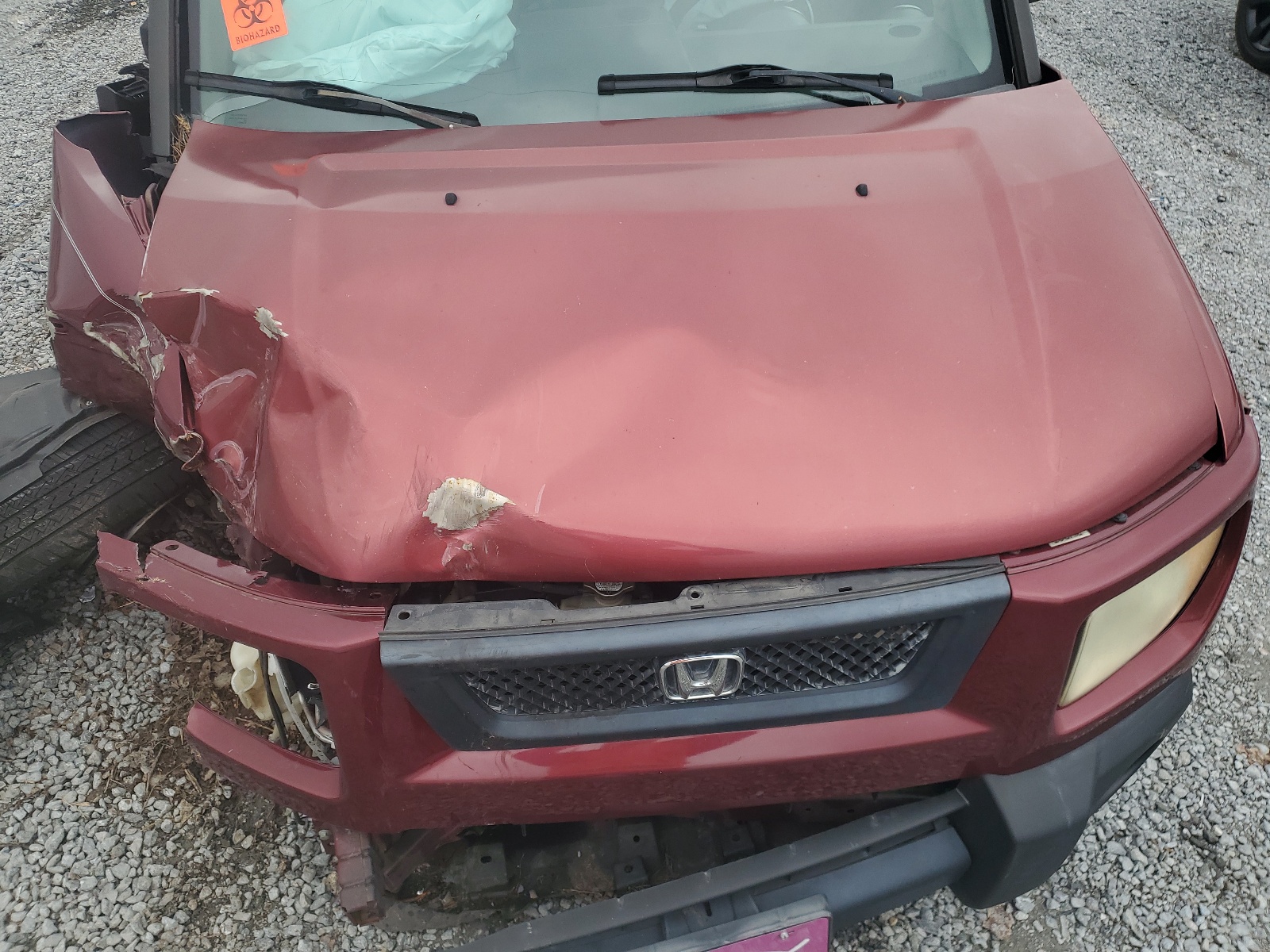 5J6YH28796L004543 2006 Honda Element Ex