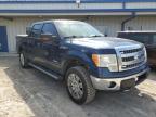 2013 Ford F150 Supercrew на продаже в Bridgeton, MO - Hail