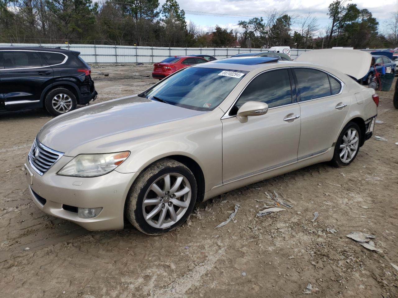 2010 Lexus LS - Image 1