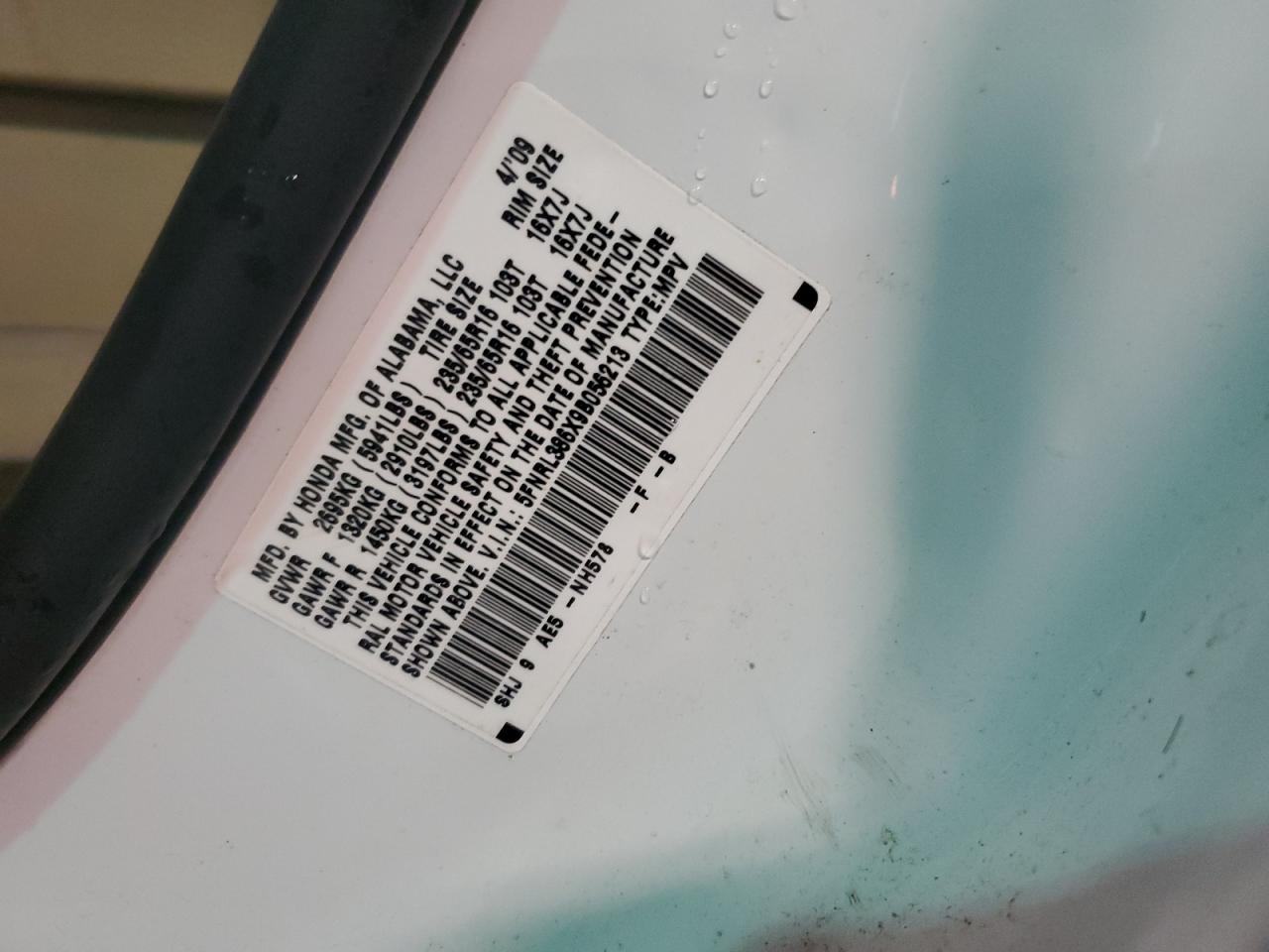 2009 Honda Odyssey Exl VIN: 5FNRL386X9B056213 Lot: 40711324