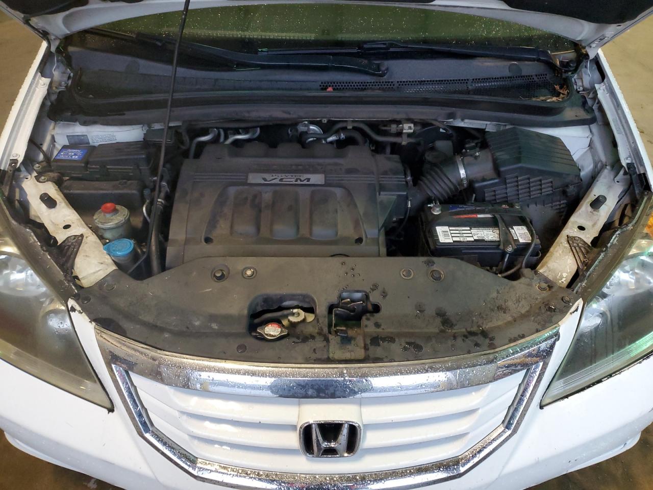 2009 Honda Odyssey Exl VIN: 5FNRL386X9B056213 Lot: 40711324