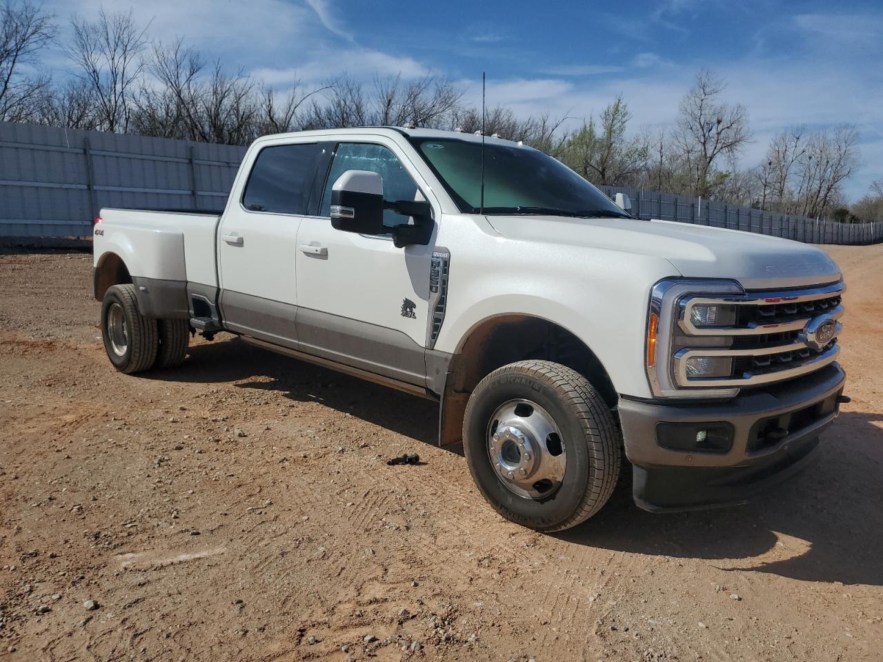 2023 Ford F350 Super Duty VIN: 1FT8W3DN0PEE00565 Lot: 45517234