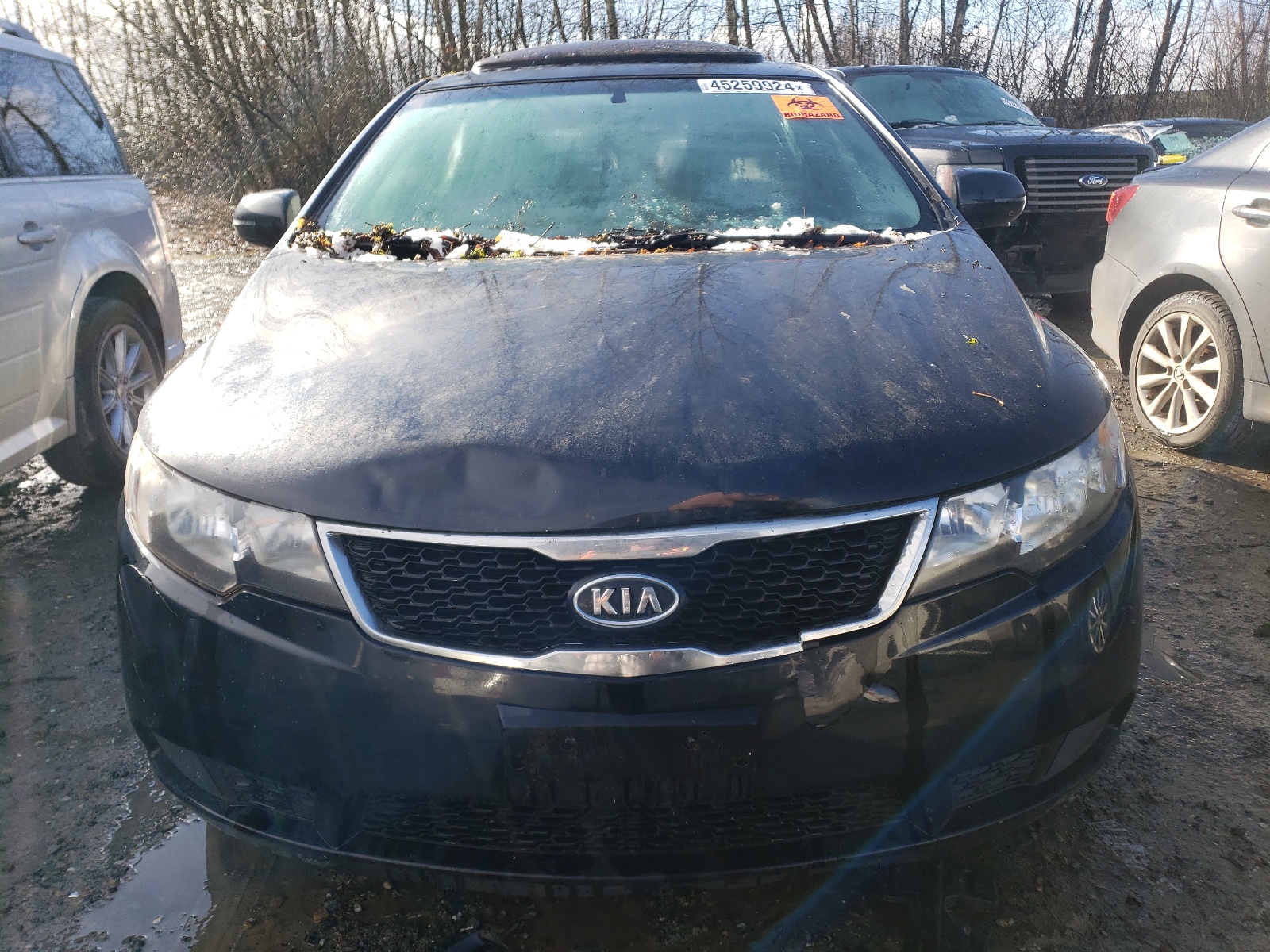 2012 Kia Forte Ex vin: KNAFU5A28C5601916