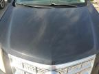2012 Cadillac Srx Performance Collection for Sale in Gaston, SC - Front End