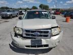 2008 Ford Escape Xlt   for Sale in Orlando, FL - All Over