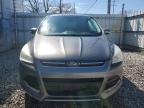 2013 Ford Escape Sel на продаже в Columbus, OH - Normal Wear