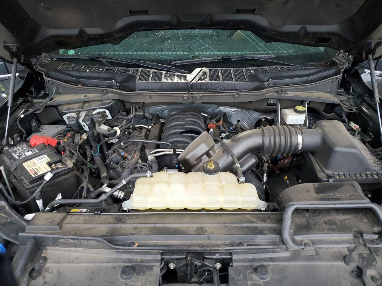 1FTFW1E59MFC17844 FORD F-150 2021