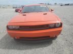 2013 Dodge Challenger R/T na sprzedaż w Earlington, KY - Hail