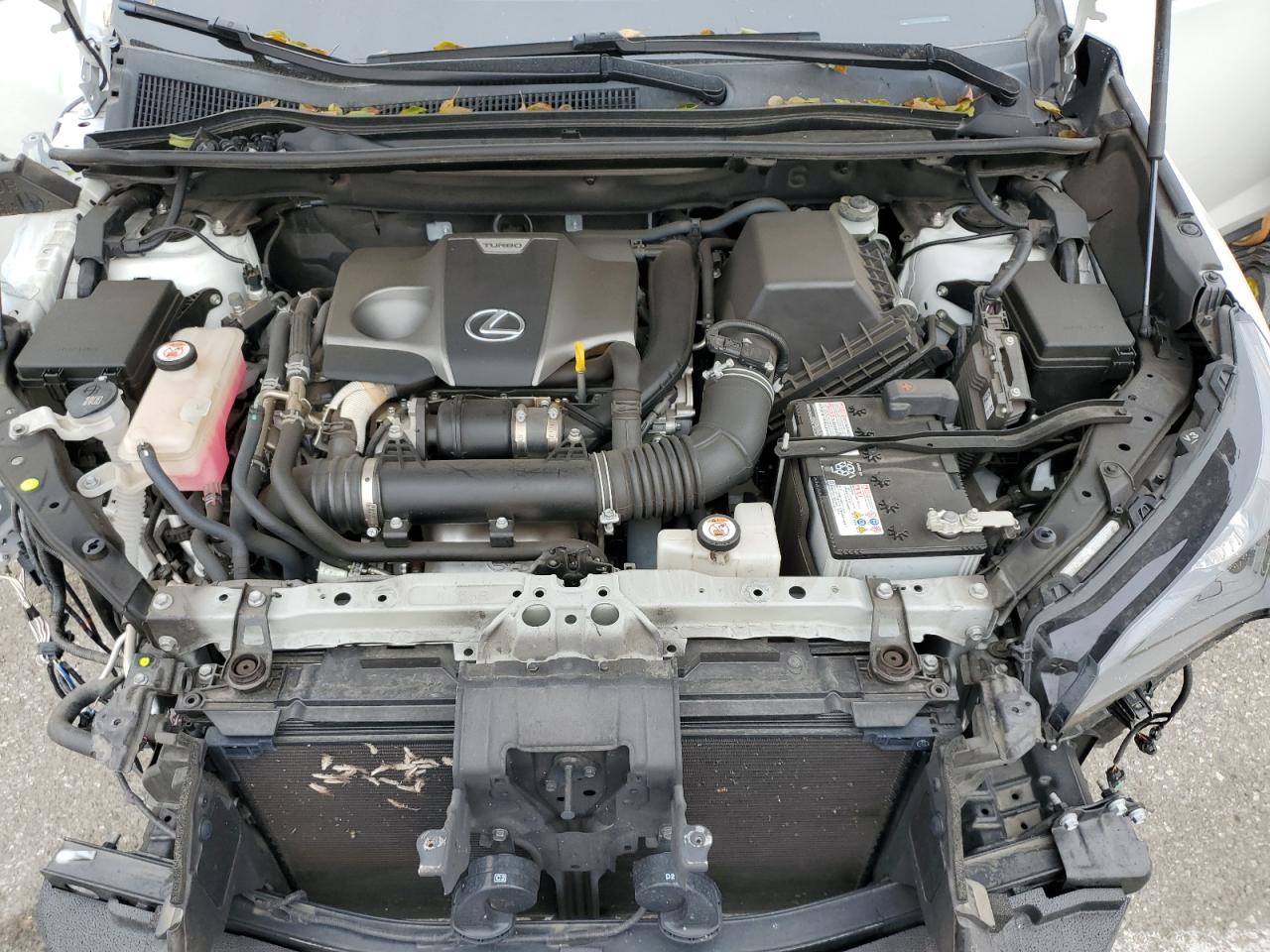 2020 Lexus NX - Image 12