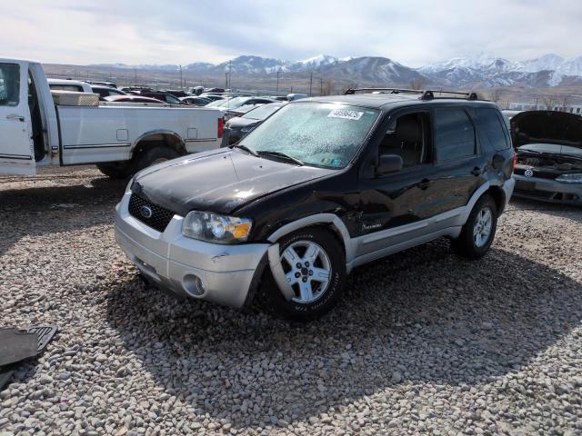 2006 Ford Escape Hev