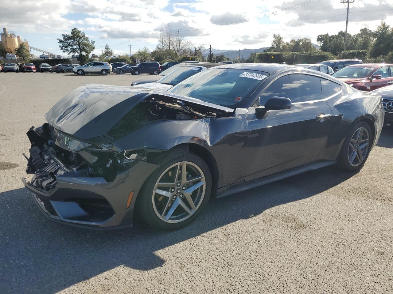 1FA6P8TH5R5133106 FORD ALL Models 2024