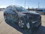 2019 Toyota Rav4 Xle zu verkaufen in Rancho Cucamonga, CA - Front End