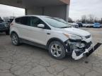 2013 Ford Escape Se for Sale in Fort Wayne, IN - Front End