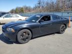 2014 Dodge Charger Sxt en Venta en Brookhaven, NY - Rear End