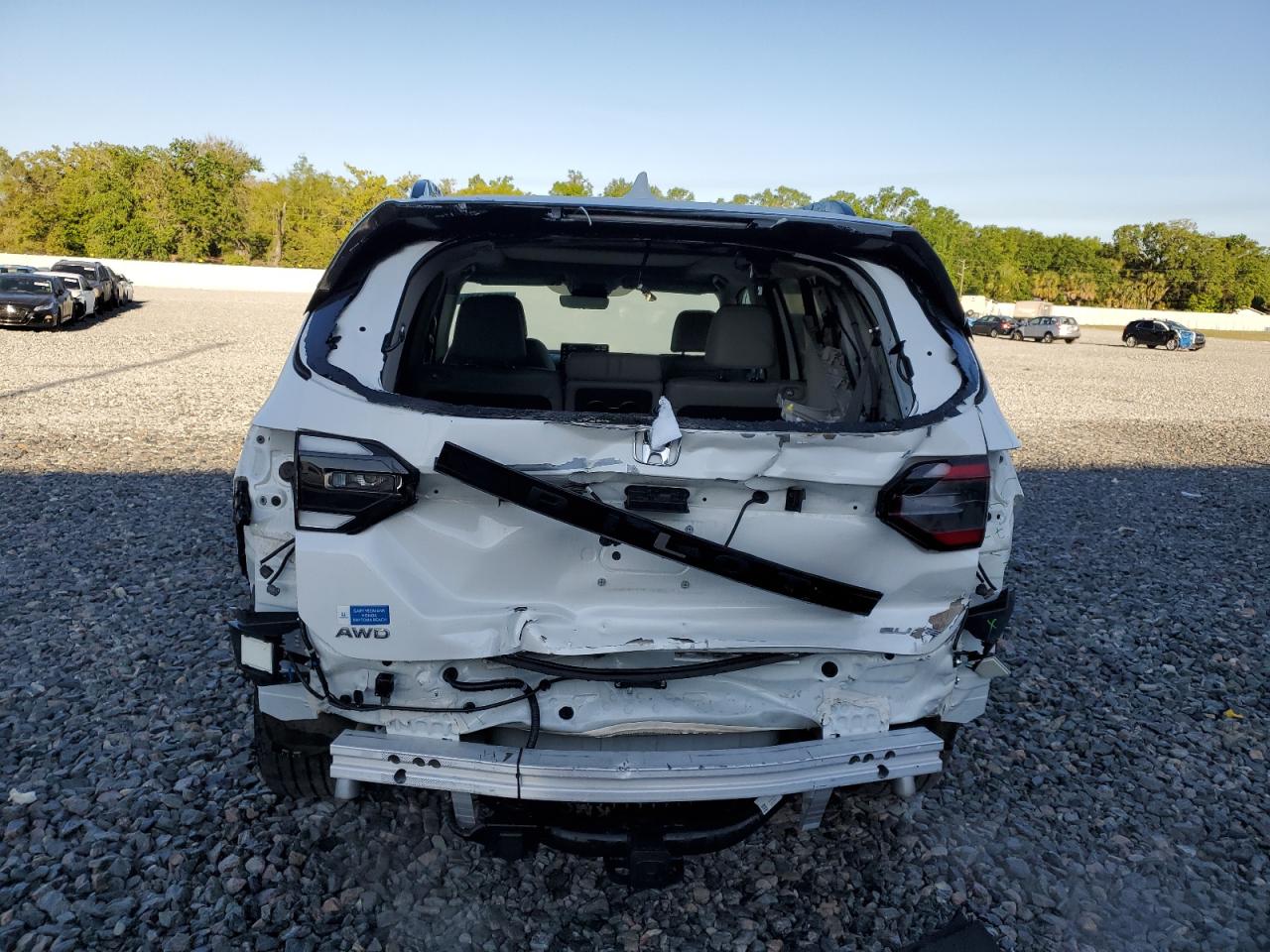 5FNYG1H81RB043050 HONDA PILOT 2024