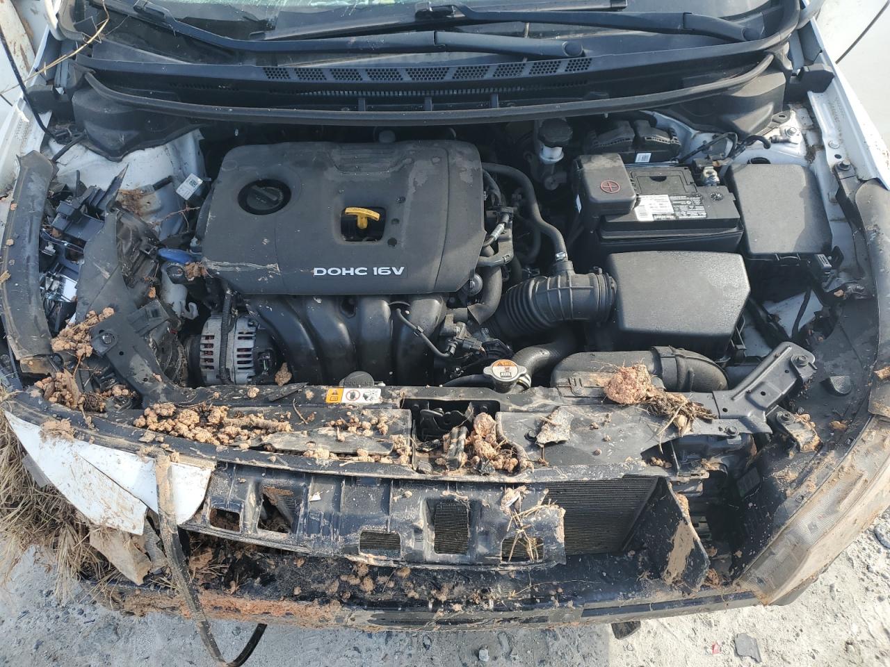 2017 Kia Forte - Image 13