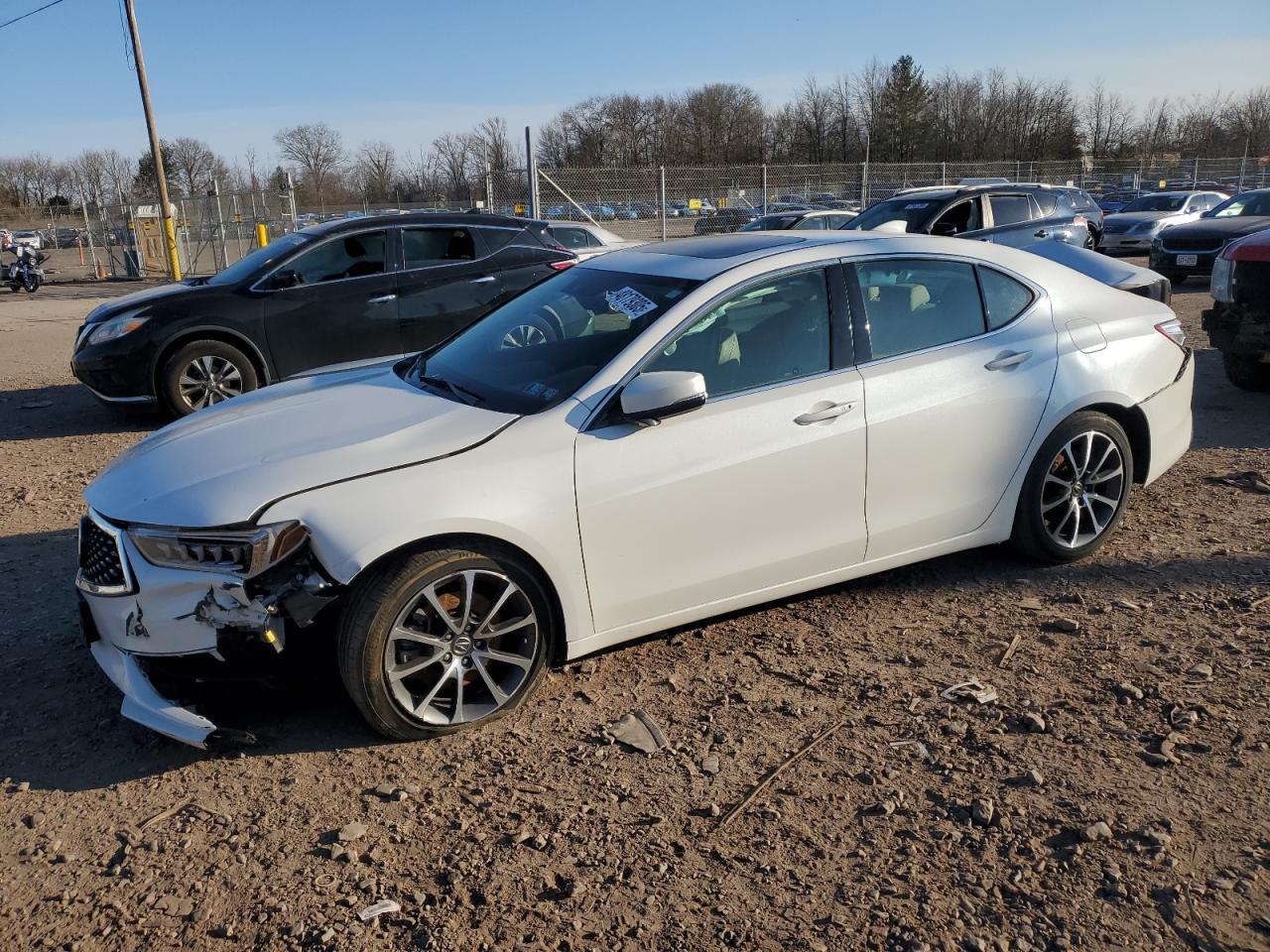 2020 Acura TLX - Image 1