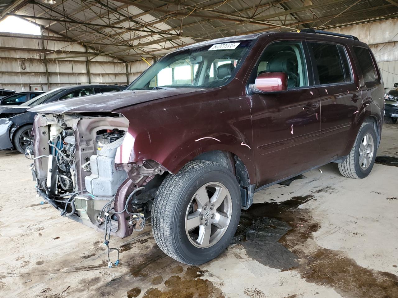2011 Honda Pilot Exl للبيع في Phoenix، AZ - Front End