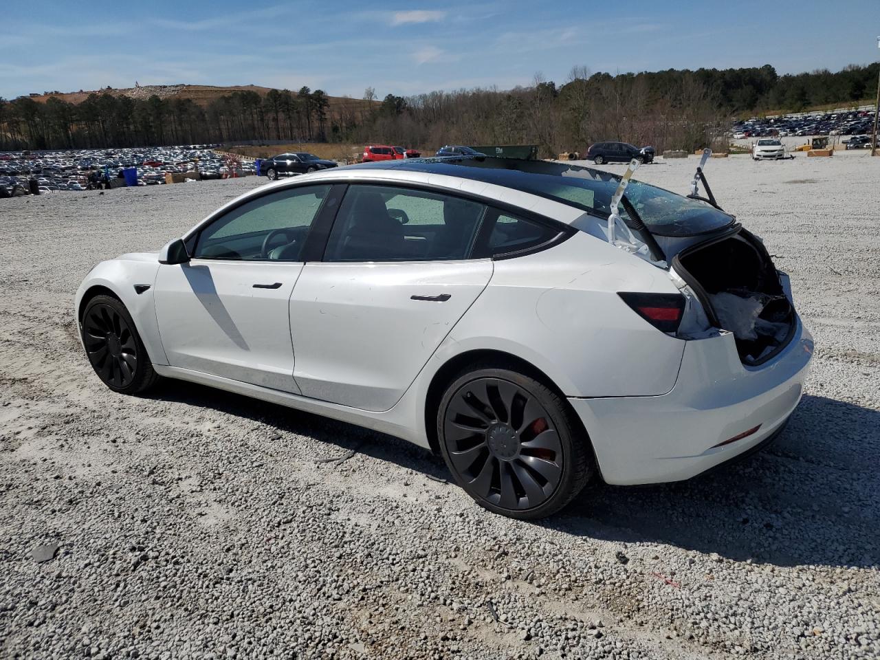 Hide VIN History Auto 5YJ3E1ECXPF551216 - TESLA MODEL 3 2023