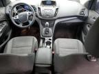 2013 Ford Escape Se for Sale in Brighton, CO - Rear End